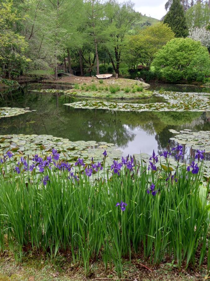 לינה וארוחת בוקר טה קויטי Aramatai Gardens מראה חיצוני תמונה